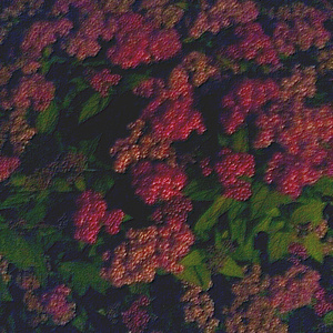 女人掰开腿给男人舔在线观看
